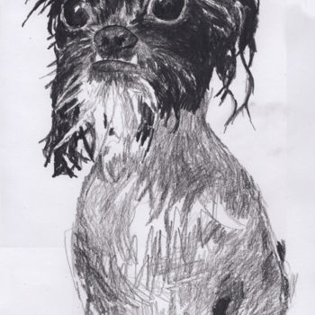 Zeichnungen mit dem Titel "Funny Looking Dog" von Fleur Elise Noble, Original-Kunstwerk, Conté-Buntstifte