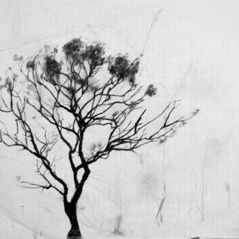 Tekening getiteld "Tree Drawing 2" door Fleur Elise Noble, Origineel Kunstwerk, Potlood