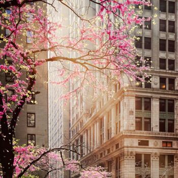 Fotografía titulada ""PINKY LADY"  Le pr…" por Florence Autelin, Obra de arte original, Fotografía digital Montado en Plexig…