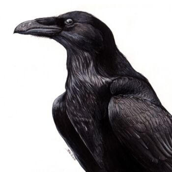 Peinture intitulée "Grand corbeau" par Florence Dellerie, Œuvre d'art originale