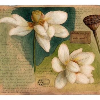 Painting titled "Lotus sacré" by Florence Dellerie, Original Artwork