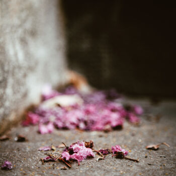 Photography titled "Marche rose" by Florence Godard, Original Artwork, Digital Photography