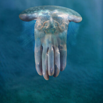 Arte digitale intitolato "Grosse méduse" da Florence Ormezzano, Opera d'arte originale, Collage digitale