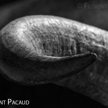 Photographie intitulée "Cuir Center 1" par Florent Pacaud, Œuvre d'art originale, Photographie numérique