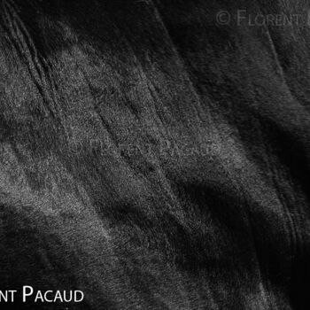 Photographie intitulée "Cuir Center 11" par Florent Pacaud, Œuvre d'art originale, Photographie non manipulée