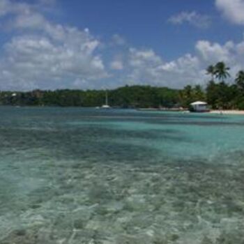 Fotografia zatytułowany „guadeloupe” autorstwa Florent Dorer, Oryginalna praca