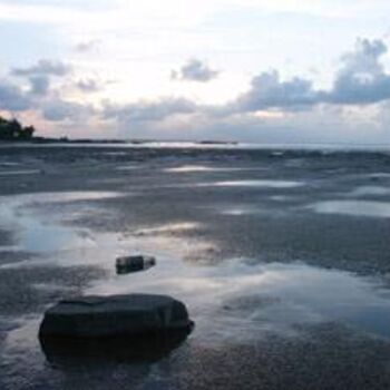 Photographie intitulée "guyane" par Florent Dorer, Œuvre d'art originale