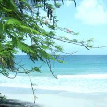 Photographie intitulée "Plage de Martinique" par Florent Dorer, Œuvre d'art originale