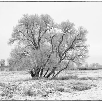 제목이 "Winterlandschaft an…"인 사진 Folker Reinhold Peter Pritsch로, 원작, 디지털