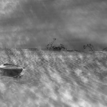 Fotografie getiteld "à fleur d'eau" door Jean-Charles Folliet, Origineel Kunstwerk, Digitale fotografie Gemonteerd op Alumin…