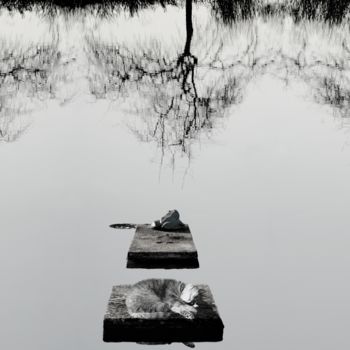 摄影 标题为“archipel” 由Jean-Charles Folliet, 原创艺术品, 数码摄影 安装在铝上