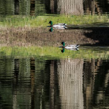 Photography titled "glissement sémantiq…" by Jean-Charles Folliet, Original Artwork, Digital Photography Mounted on Aluminium