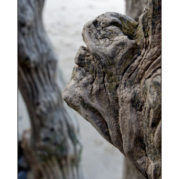 Photographie intitulée "photo-dinard-olivie…" par Fop, Œuvre d'art originale