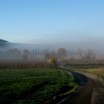 Photography titled "Todays grey V" by Bernhard Lüttmer, Original Artwork