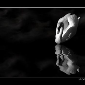 Digital Arts με τίτλο "Swan lake" από Ilona Wellmann, Αυθεντικά έργα τέχνης