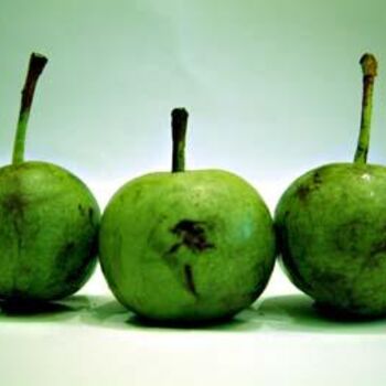 Photography titled "fruits" by Nehru Suleyman, Original Artwork