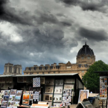 摄影 标题为“Bord de Seine.jpg” 由Florence Pouget-Landrieu, 原创艺术品