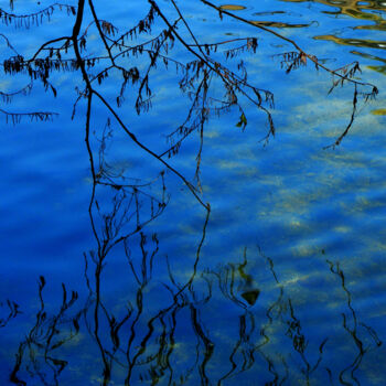 Photography titled "Reflet bleuté.jpg" by Florence Pouget-Landrieu, Original Artwork