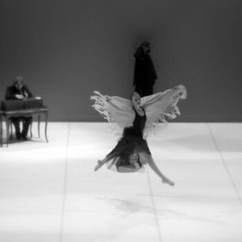 Fotografia intitolato "Envol.jpg" da Florence Pouget-Landrieu, Opera d'arte originale