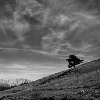 Photographie intitulée "Sur la colline" par Florence Pouget-Landrieu, Œuvre d'art originale, Photographie numérique