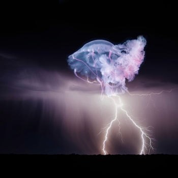 Arte digitale intitolato "Thundery" da Francesca Guarnieri, Opera d'arte originale, Fotomontaggio