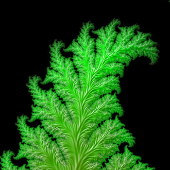 Digitale Kunst mit dem Titel "Evergreen" von Fractal Art By Nitisara, Original-Kunstwerk, 2D digitale Arbeit