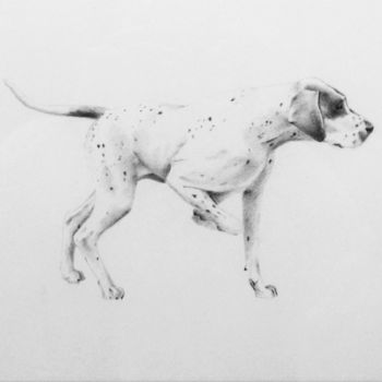 Disegno intitolato "Cane da caccia" da Francesco Cagnato, Opera d'arte originale, Matita Montato su Cartone