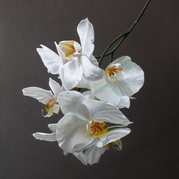 Painting titled "PHALENOPSIS" by Francesco Capello, Original Artwork, Oil Mounted on Wood Stretcher frame