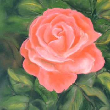 Rysunek zatytułowany „rose "Catherine Den…” autorstwa Francette Guittard, Oryginalna praca, Pastel