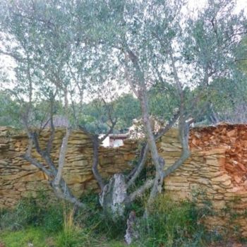 Fotografía titulada "L'ARBRE DE PAIX - L…" por Francine Barbaray, Obra de arte original