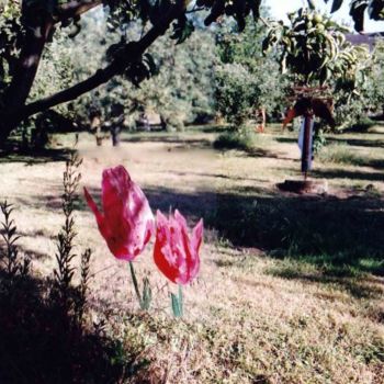 安装 标题为“land_art_0011_w.jpg” 由Francine Rosenwald : Parcours Artistique, 原创艺术品