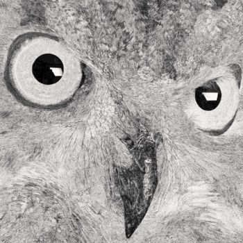 Dibujo titulada "buho-owl-2.jpg" por Francisco García Delgado, Obra de arte original, Otro
