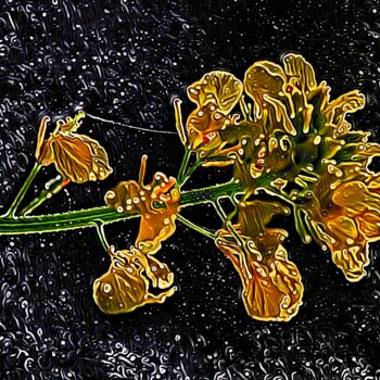 Arts numériques intitulée "Flor sobre negro" par Francisco Lopez Bermudez, Œuvre d'art originale, Peinture numérique