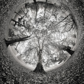 Fotografie mit dem Titel "Hemicycle" von Franck Charles, Original-Kunstwerk, Digitale Fotografie