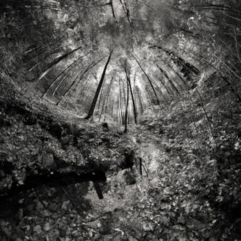 Photographie intitulée "River forest" par Franck Charles, Œuvre d'art originale, Photographie numérique
