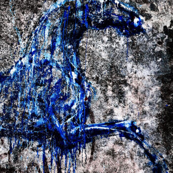 Fotografía titulada "blue" por Franck Sanyas, Obra de arte original, Fotografía digital