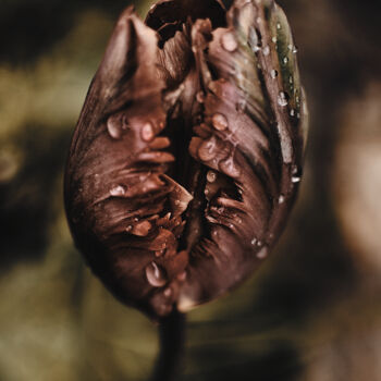 Photographie intitulée "en coeur n°2/9" par Franck Sanyas, Œuvre d'art originale, Photographie numérique