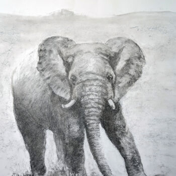 Drawing titled "Elephant" by Franck Sanz, Original Artwork, Charcoal