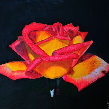 Pintura titulada "Rosa" por Franco Fumo, Obra de arte original, Acrílico