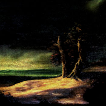 Peinture intitulée "Desolazione" par Franco Petrosemolo, Œuvre d'art originale, Huile