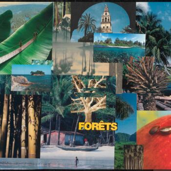 Digital Arts με τίτλο "Forêts.jpg" από François Géal, Αυθεντικά έργα τέχνης, Φωτογραφία Μοντάζ