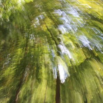 Photography titled "Forêt d'artifices (…" by François Tondeur, Original Artwork