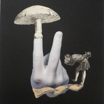 Collages intitulée "Un conte surréaliste" par François-Xavier Delmeire, Œuvre d'art originale, Collages