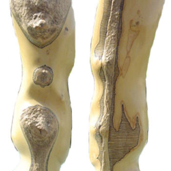 Скульптура под названием "L'homme à la peau l…" - François Thomas, Подлинное произведение искусства, Дерево