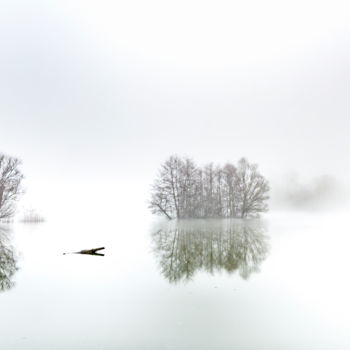 "AAB.8442.HD.jpg  "…" başlıklı Fotoğraf Francois Aurora tarafından, Orijinal sanat