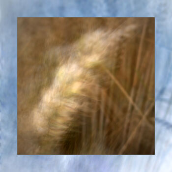 Photography titled "Im Wind" by Frank Wichmann, Original Artwork, Digital Photography