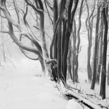 Fotografie getiteld "Winterbäume Study 01" door Franz Hümpfner, Origineel Kunstwerk, Film fotografie