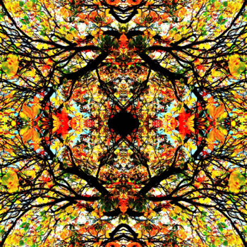 Digitale Kunst getiteld "Mandala 01" door Franz Hümpfner, Origineel Kunstwerk, Digitaal Schilderwerk Gemonteerd op Metaal
