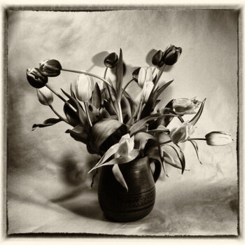 Fotografia intitulada "Bouquet of tulips i…" por Franz Hümpfner, Obras de arte originais, Fotografia de filme