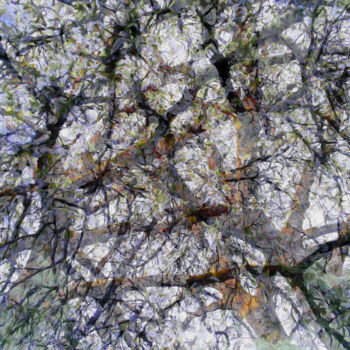 Digital Arts με τίτλο "Digital Cherry Blos…" από Franz Hümpfner, Αυθεντικά έργα τέχνης, Ψηφιακή ζωγραφική Τοποθετήθηκε στο Μ…